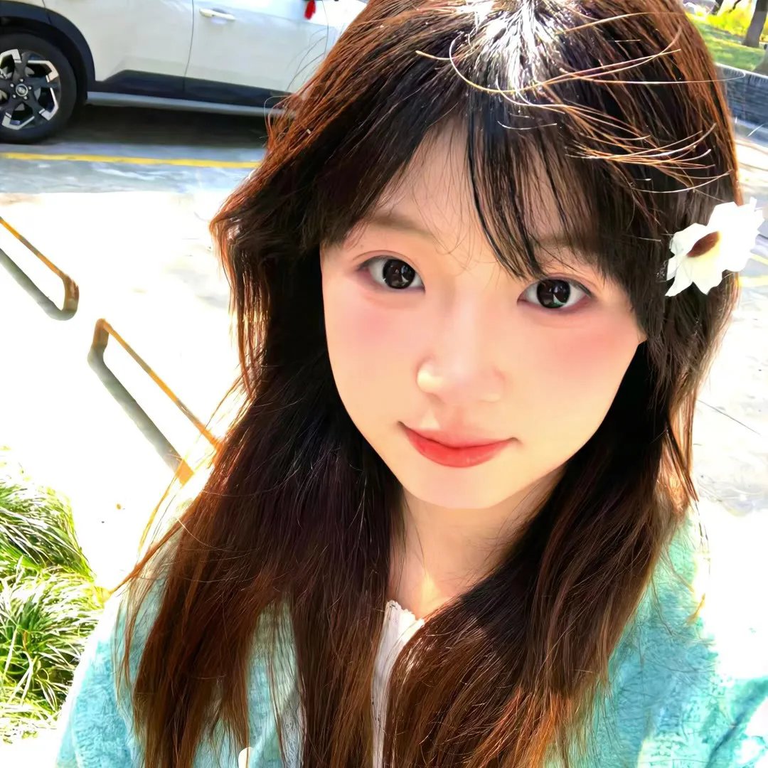 我的新拍档